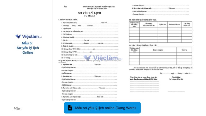 Tải mẫu sơ yếu lý lịch chuyên nghiệp tại Vieclam.net