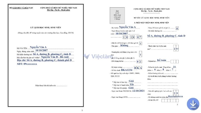Tải mẫu sơ yếu lý lịch đúng chuẩn tại Vieclam.net