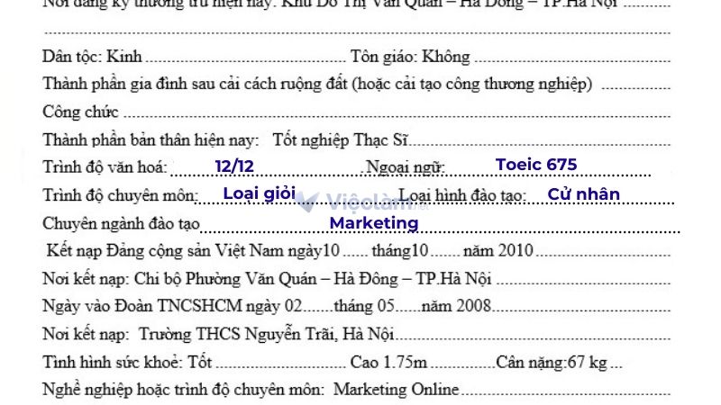 Cách điền phần trình độ và chuyên môn trong sơ yếu lý lịch