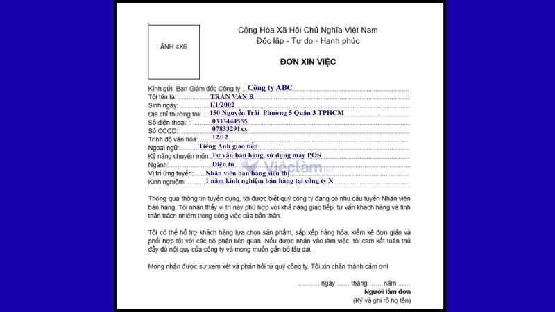 Mẫu đơn xin việc bán hàng dùng chung