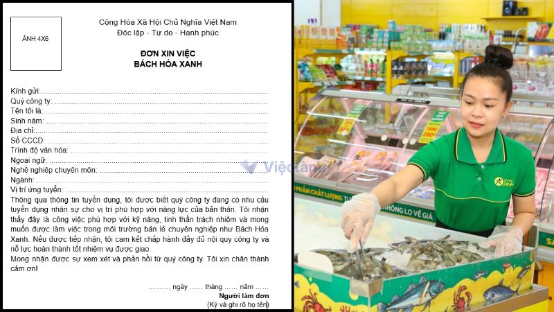 Mẫu đơn xin việc Bách Hóa Xanh 