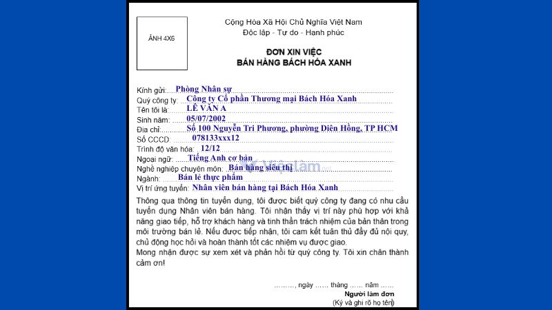 Đơn xin việc nhân viên bán hàng tại Bách Hóa Xanh