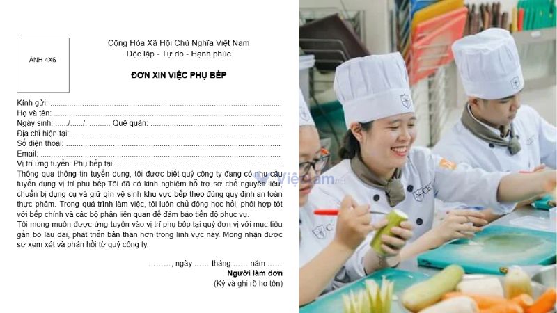 Mẫu đơn xin việc phụ bếp