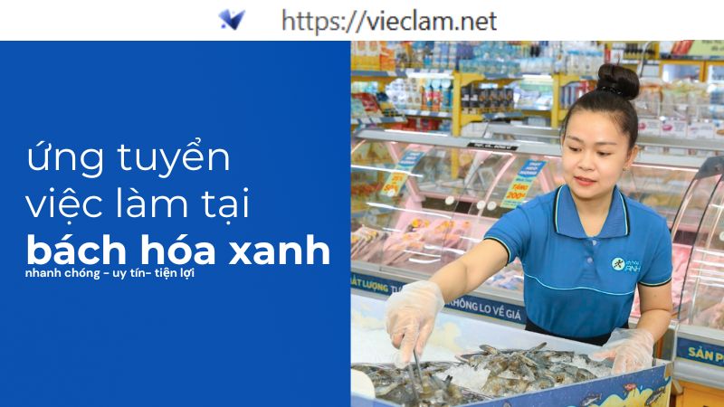 Tìm việc làm Bách Hóa Xanh nhanh chóng tại Vieclam.net