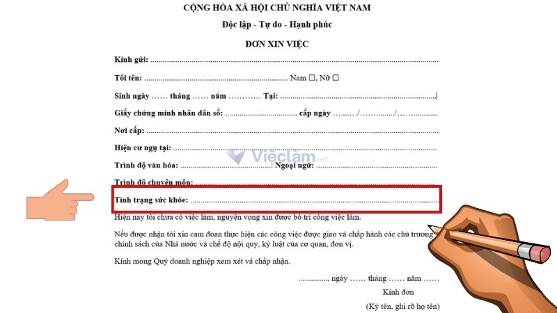 Hướng dẫn chi tiết cách điền Tình trạng sức khỏe trong mẫu đơn xin việc