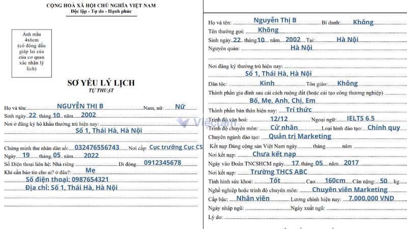 Mẫu Sơ yếu lý lịch
