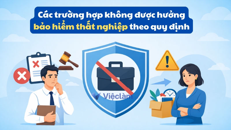 Các trường hợp không được hưởng bảo hiểm thất nghiệp theo quy định