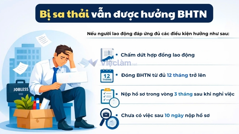 Bị sa thải vẫn được hưởng bảo hiểm thất nghiệp theo quy định 