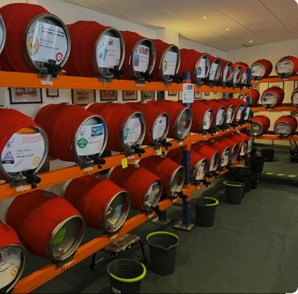 Entertainment for All Ages: Music and Fun