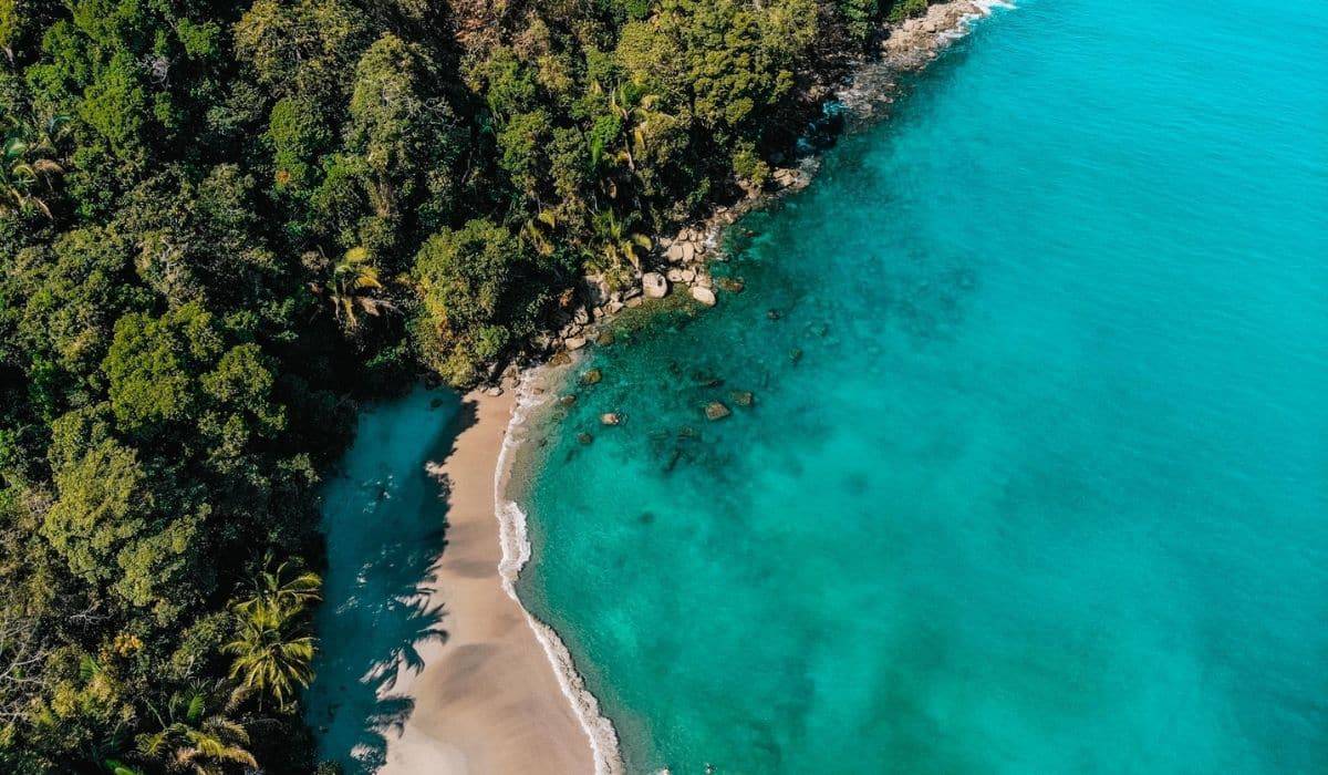 Why a Wildlife Safari in Manuel Antonio National Park Changes How You See Costa Rica (And Yourself) Cover