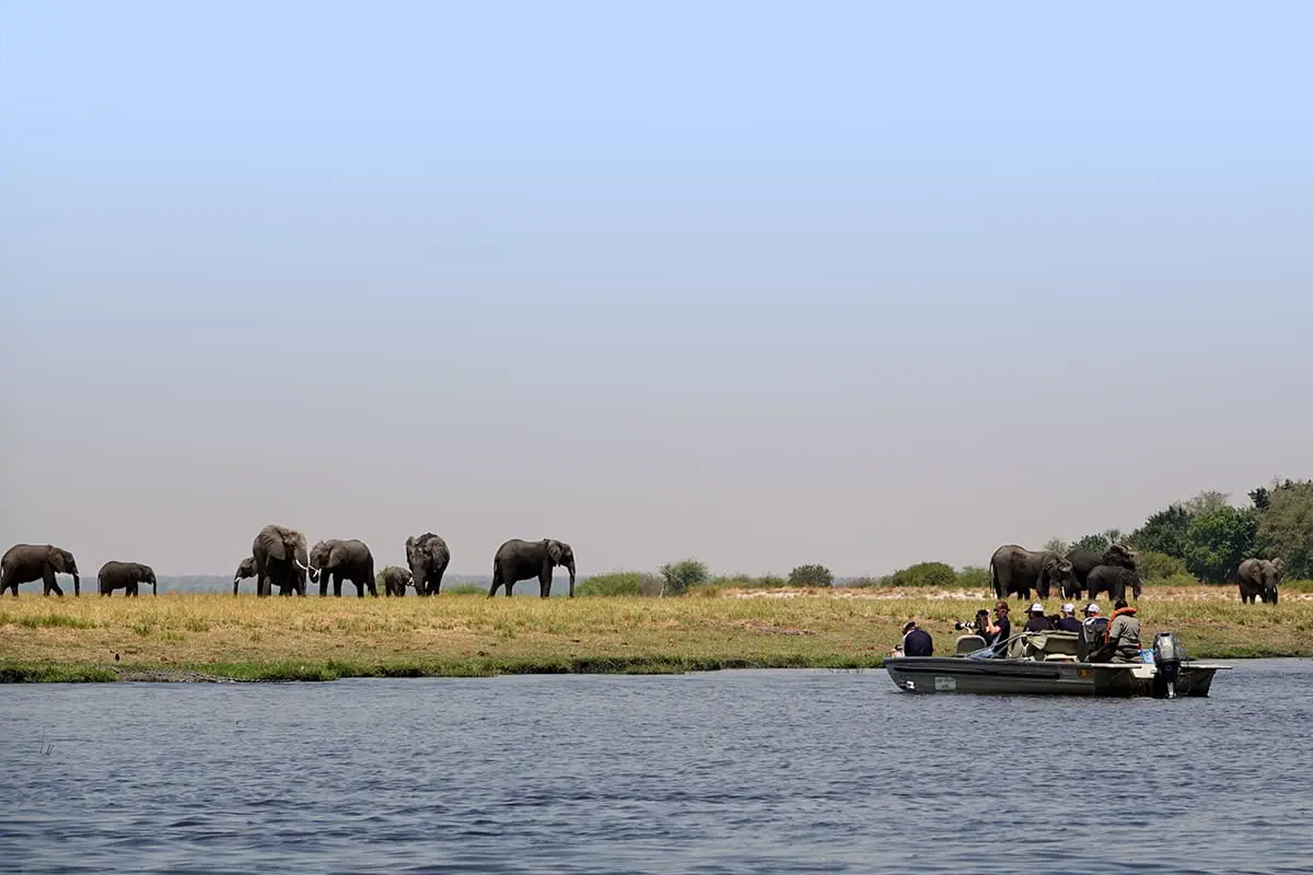 Why Chobe National Park Should Top Your Safari Bucket List (and How a DMC Makes All the Difference) Cover