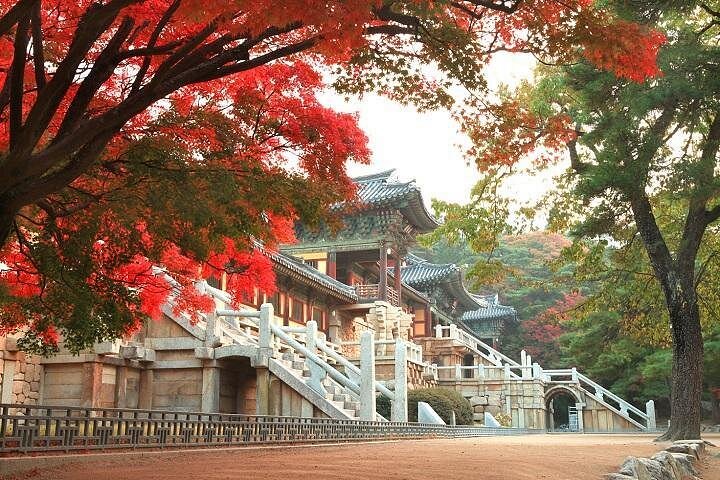 Can’t-Miss Moments: Gyeongju’s Top Sites with a Side of Serendipity