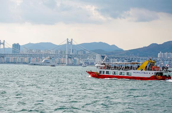 Navigating Busan Like a Pro: Unexpected Joys and Insider Tips for Cruise Travelers Cover