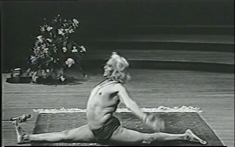 Section 3: Yoga on the Margins—Athletes, HIV/AIDS, Addiction, and the Power of Adaptation