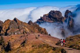 Why Group Trips to Madeira Work Best with a Destination Management Company (DMC) – Surprising Perks & Stories from the Pearl of the Atlantic Cover
