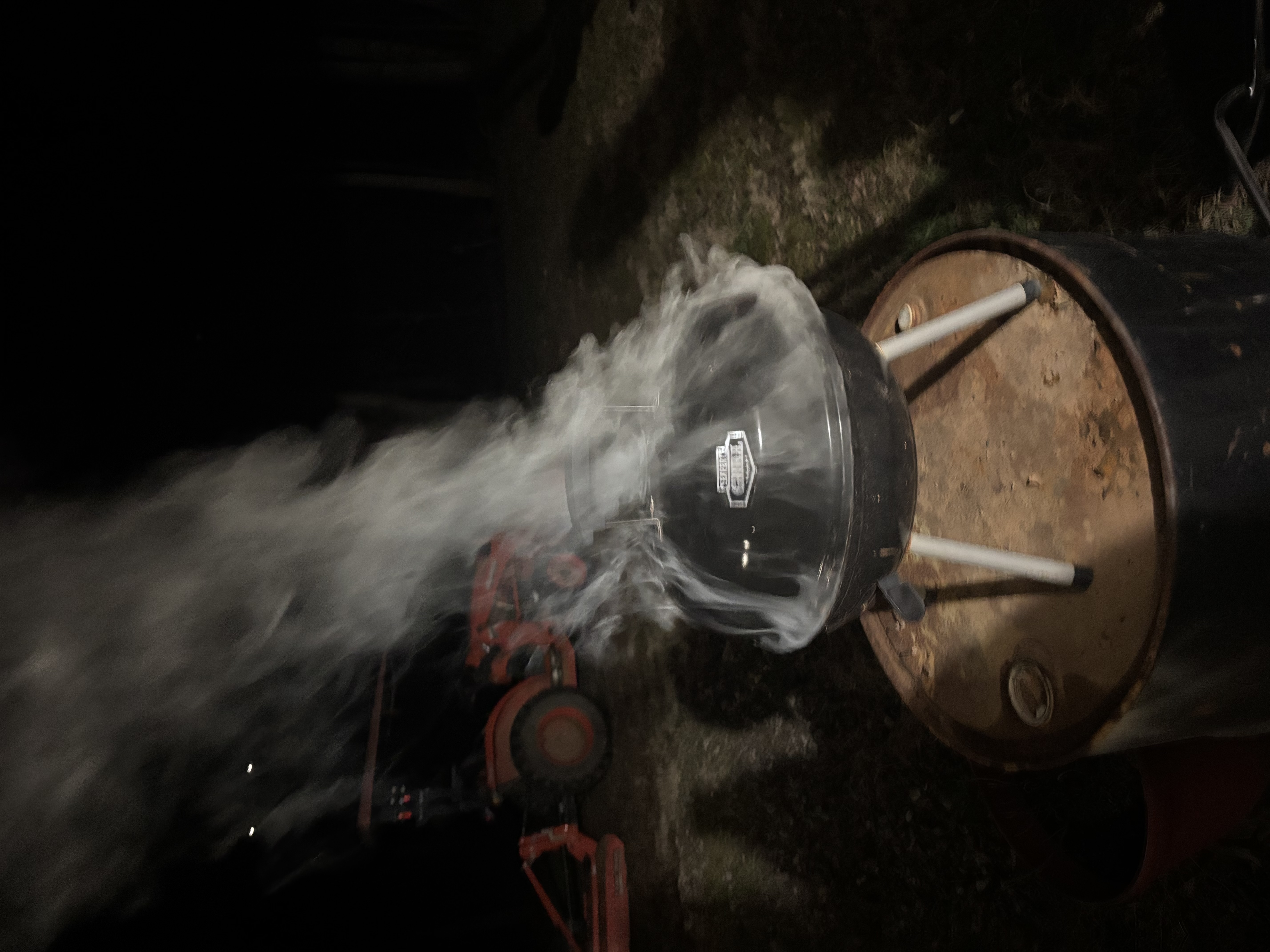 Tradtions & Tales: Celebrating St. Patrick's Day Cover