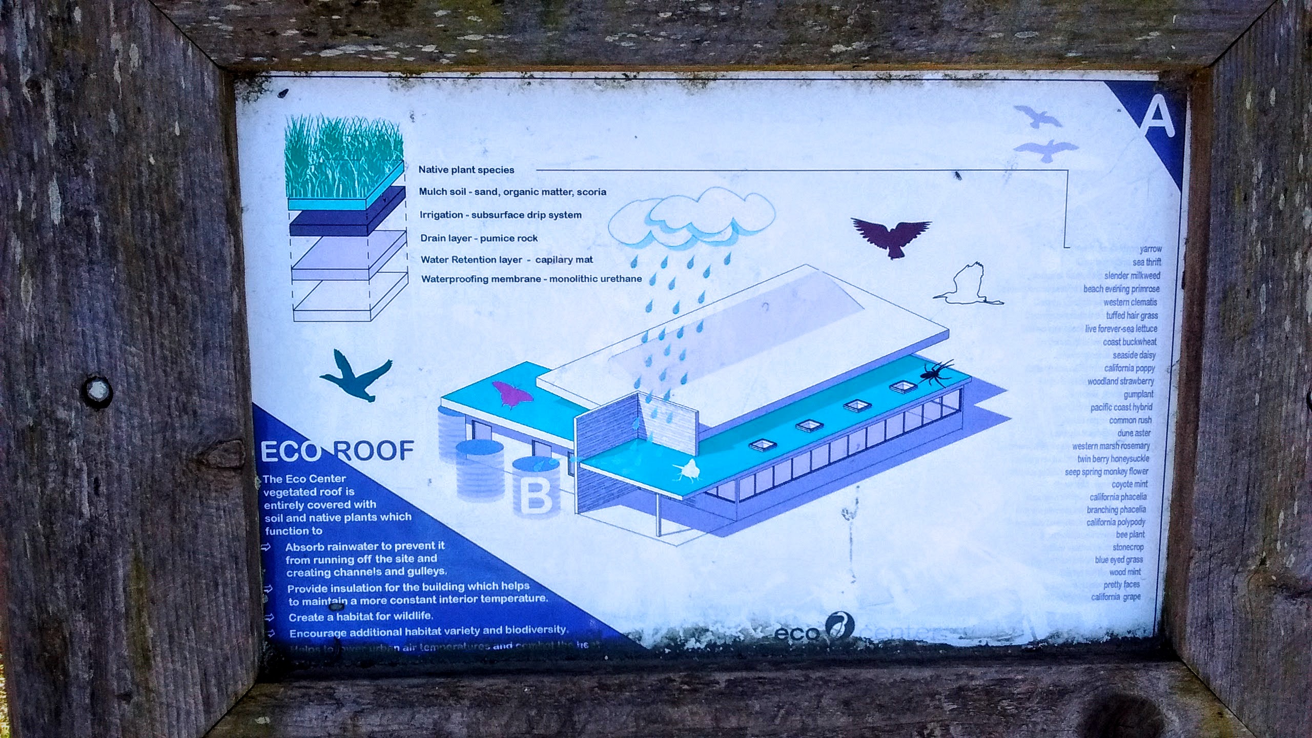 Being a Tourist in SF & LA Autocase