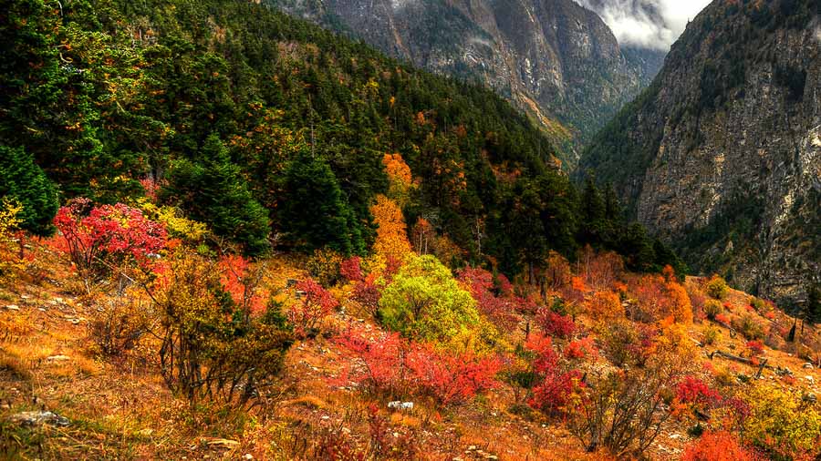 The Colors of Fall in the Annapurna Seven Passes Trek