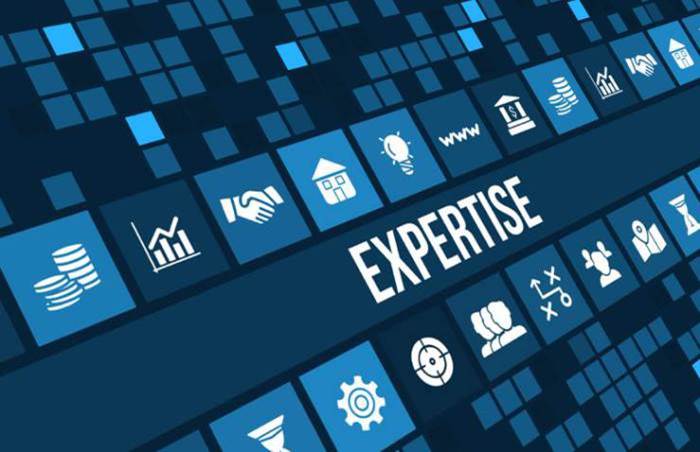 webloyalty expertise