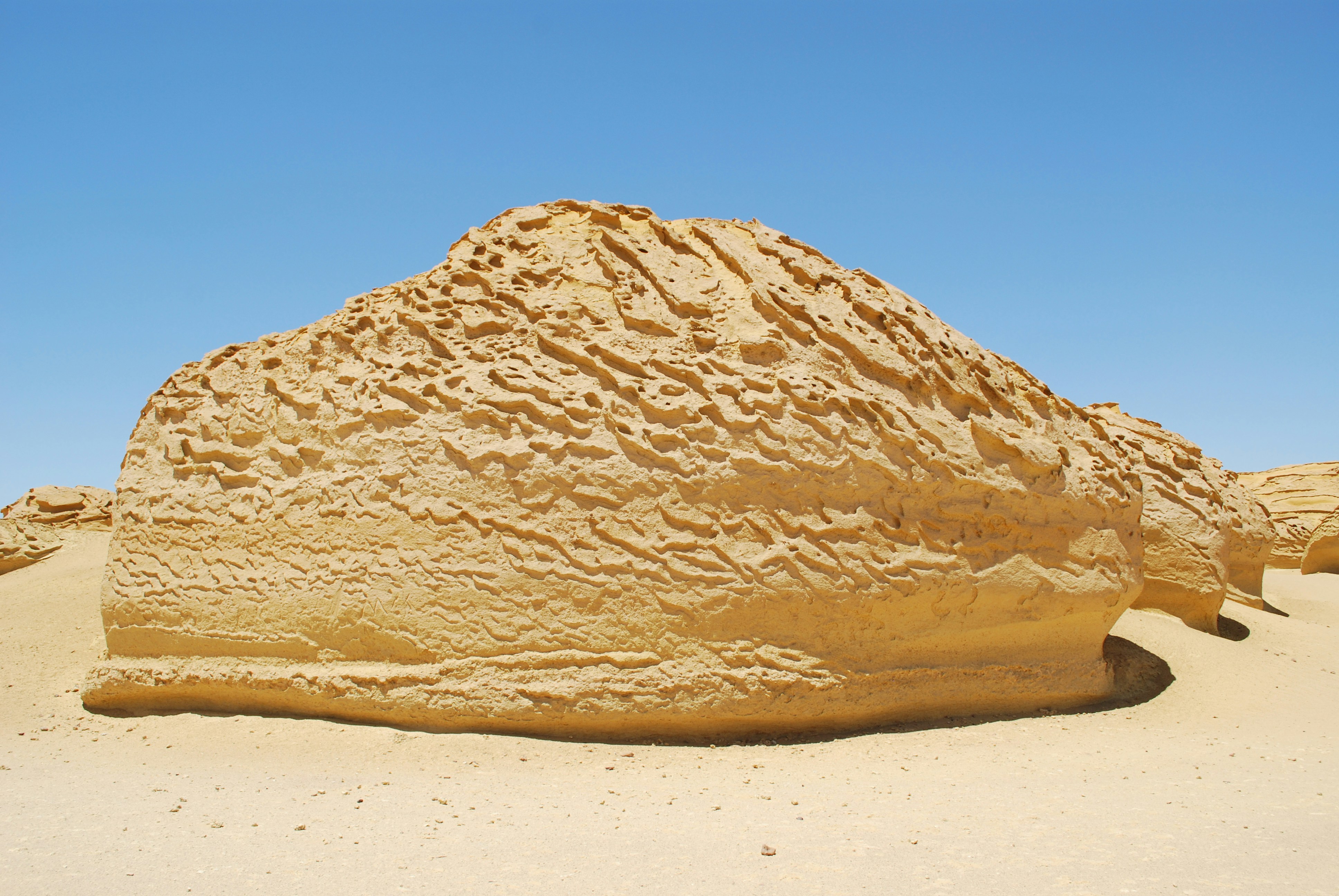 Western India desert