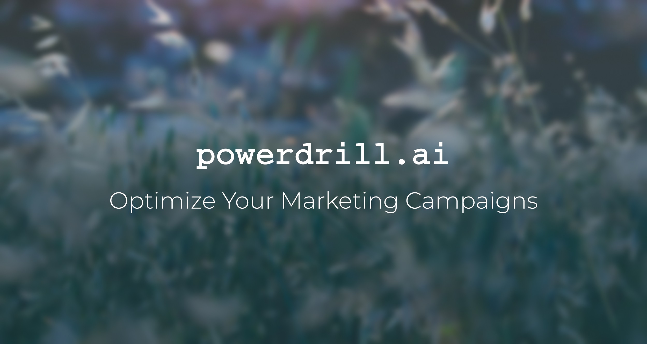 How to Optimize Your Marketing Campaigns with AI