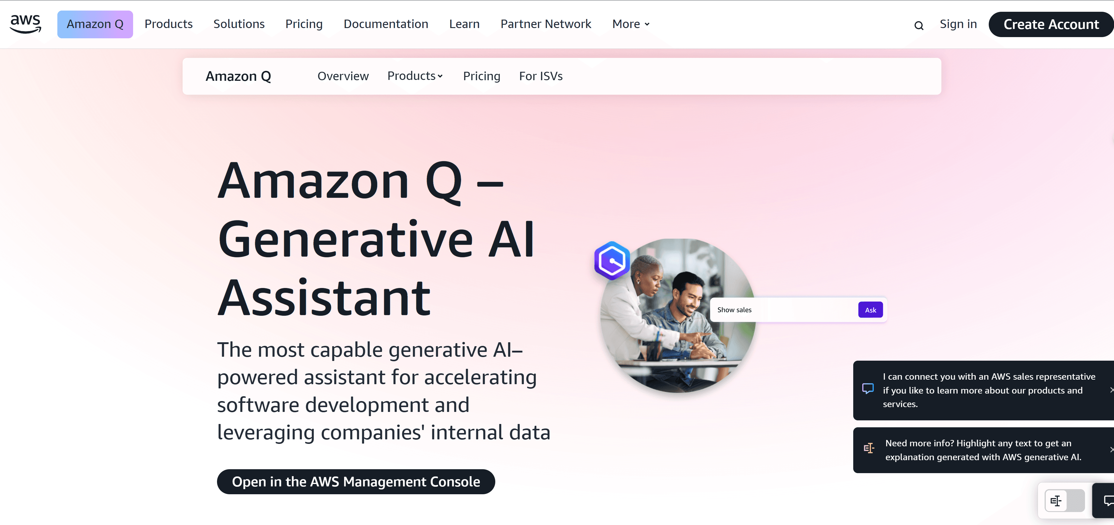 Amazon Q interface