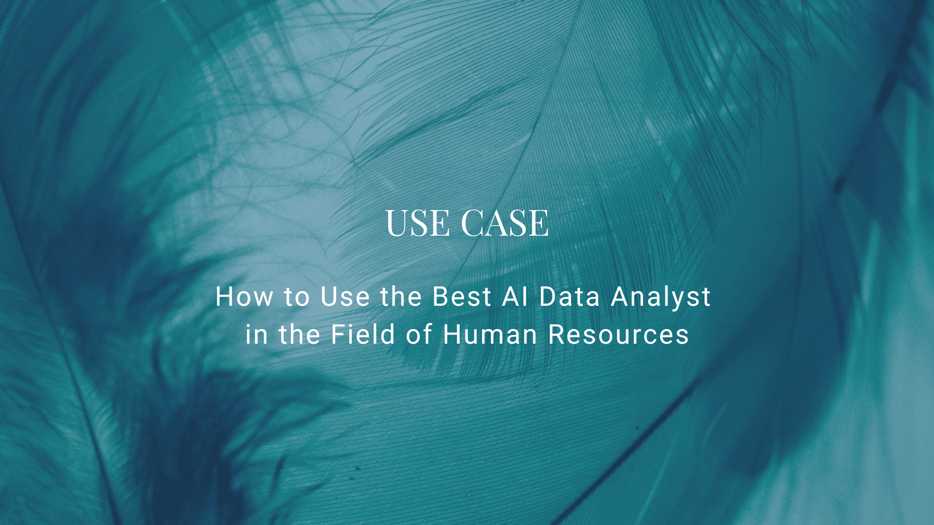 How to Use AI Chatbots in the Field of Human Resources