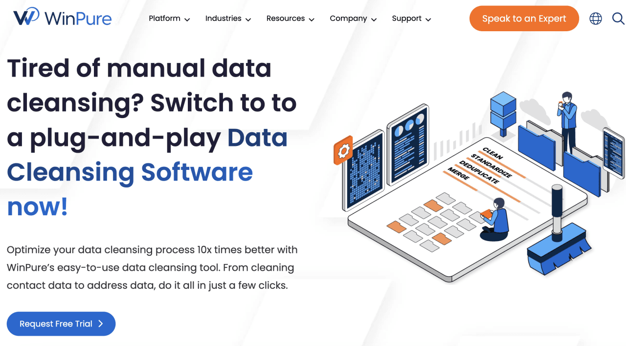 Winpure's interface