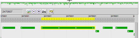 DNA sequence visualization tool