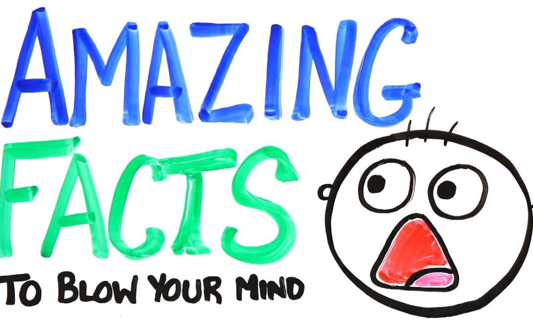 4 Amazon Facts to Blow Your Mind