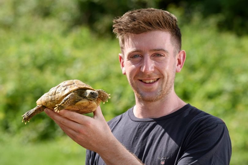 Runaway Tortoise Found 0.5 Miles From Home – After 1 Year