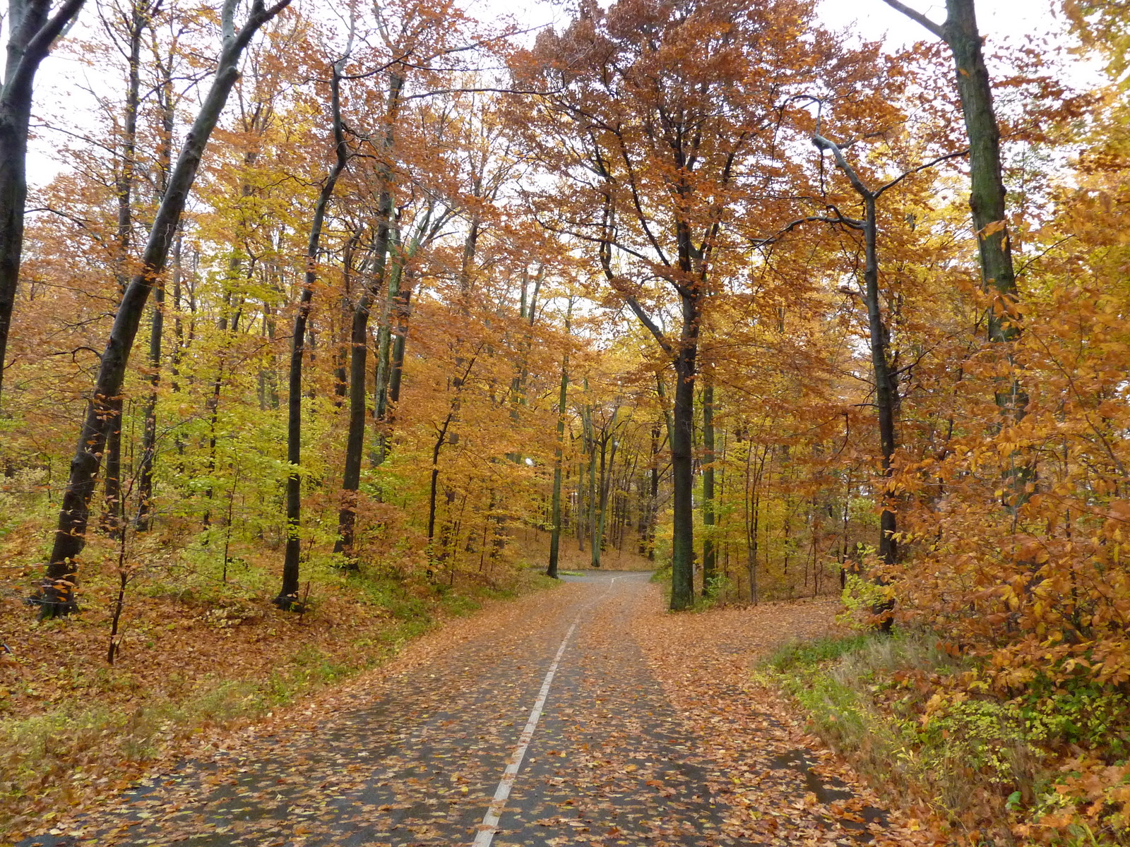 Crystal Gardens Frankfort Mi / 2271 Crystal Dr, Frankfort, MI 49635