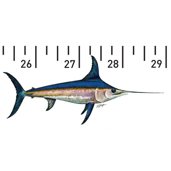 Swordfish Release Ruler Boat Outfitters