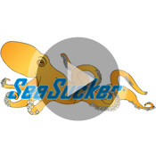 SeaSucker Video