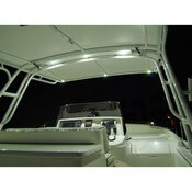 Orbit Flush Mount Down Light - In Use White