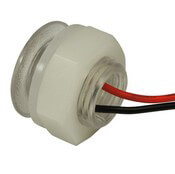 Newt Livewell / Accent Light  - Rear View