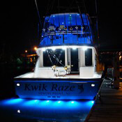 SeaBlaze3 Underwater Lights