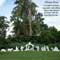 Outdoor Nativity Set Assembly Video