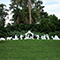 Holy Night Complete Nativity Scene