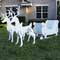 Christmas Sleigh and Reindeer Set