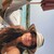 natalie profile photo