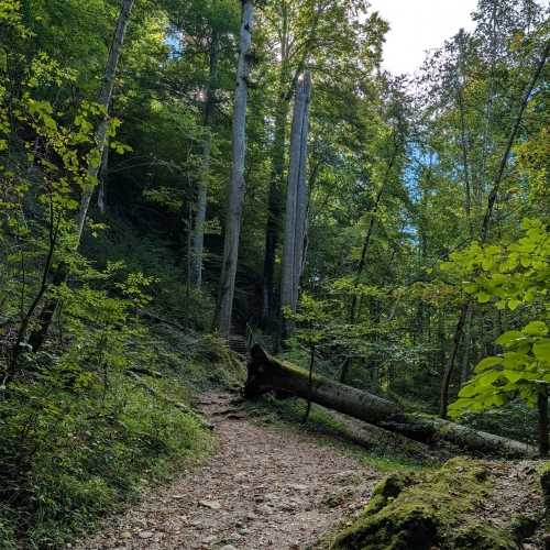 Hiking up to Andechs