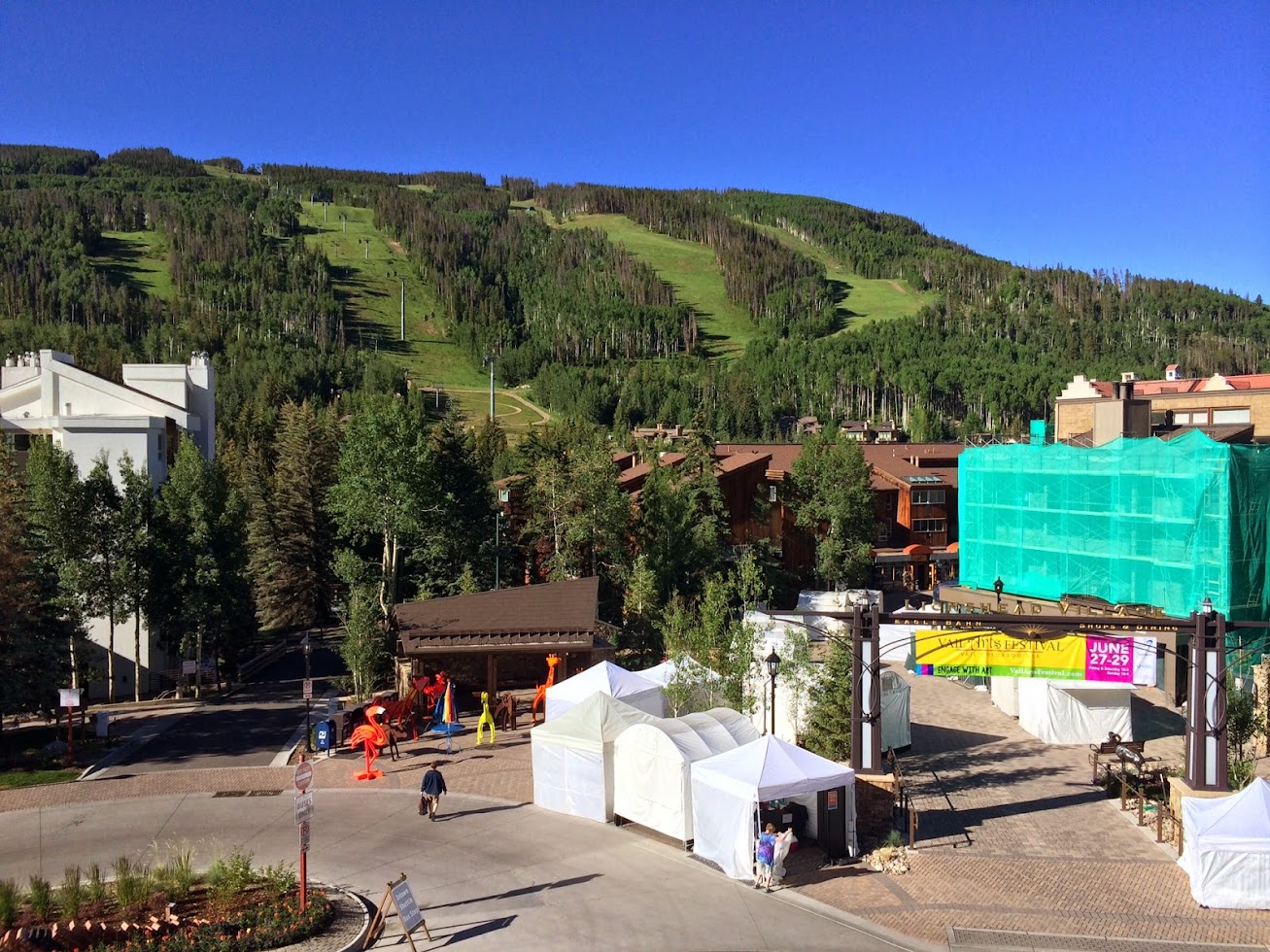 Downhill Mountain Biking in Vail, Colorado BrandonOBrien