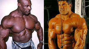clomid bodybuilding