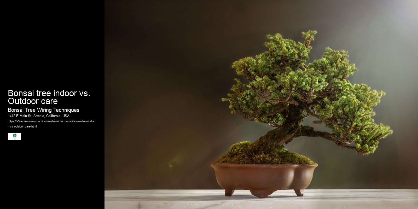 Bonsai tree indoor vs. Outdoor care