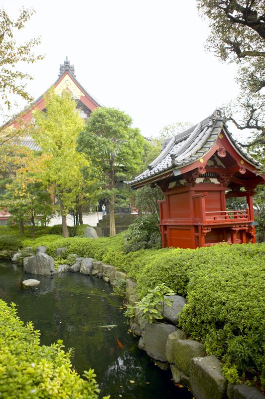 japanese+garden+2 Bonsai Care – Be Amazed at the Personal Health Benefits