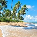 Praia do Forte