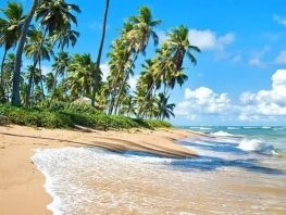 Praia do Forte