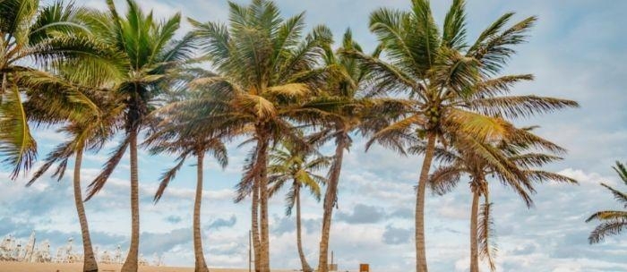 IMBASSAI - 07 Noches Volando con Gol