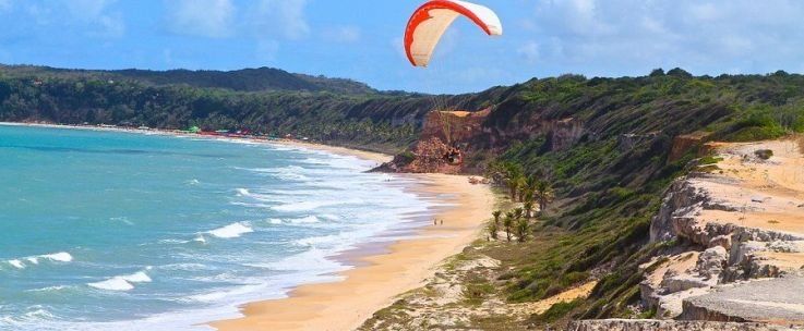 PIPA - 07 Noches Volando con Gol